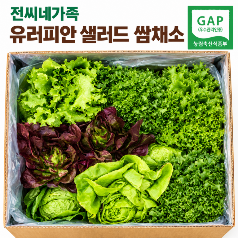 유러피안 샐러드 쌈채소 믹스,여러 종류